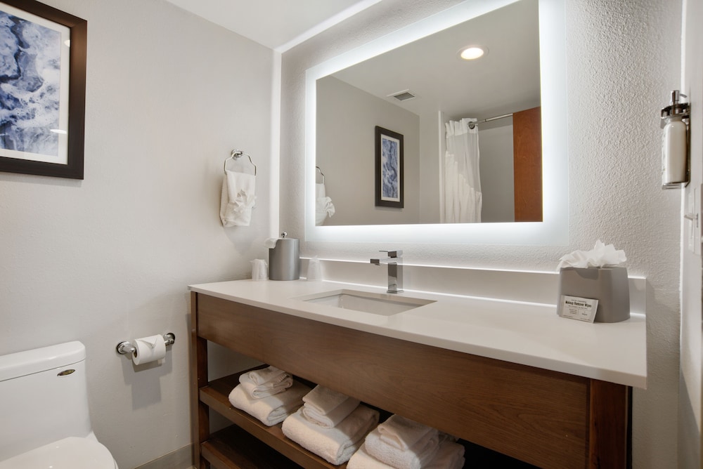Suite, 1 King Bed - Photo 5