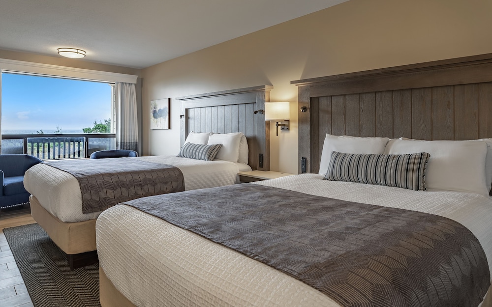 Room, Multiple Beds photo 2