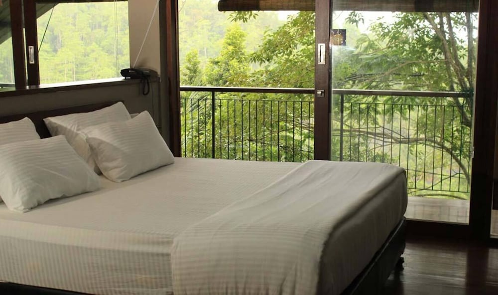Elite Double Room photo 1