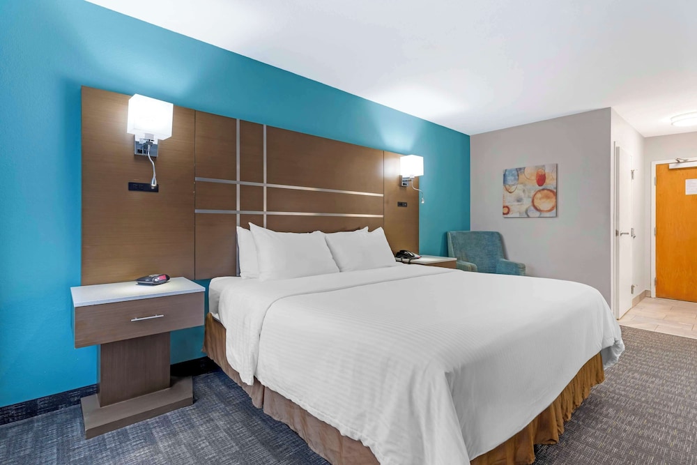 Standard Room, 1 King Bed, Non Smoking, Refrigerator & Microwave photo 3