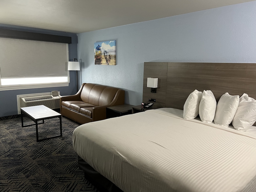 Deluxe Single Room photo 3