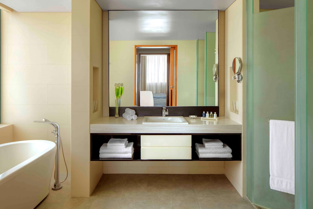 Deluxe Suite photo
