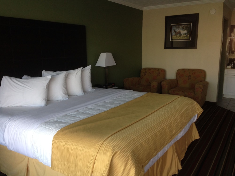 Standard Room, 1 King Bed with Sofa bed, Non Smoking photo 1