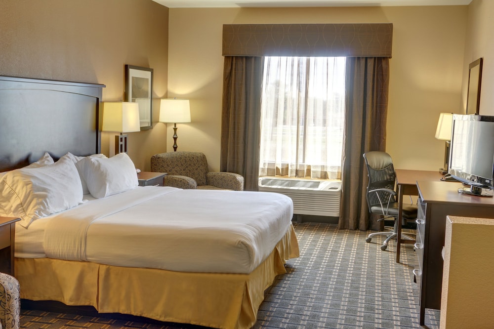 Suite, 1 King Bed - Photo 1
