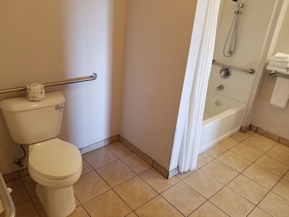Suite, 1 Queen Bed, Refrigerator photo 2