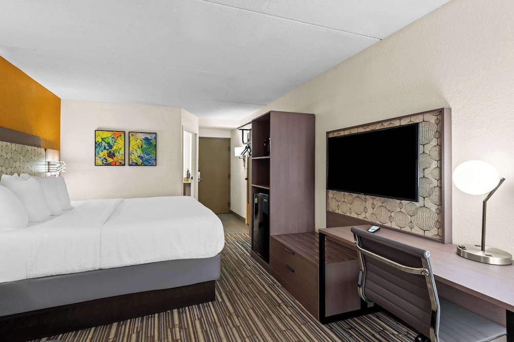 Standard Room, 1 King Bed with Sofa bed, Non Smoking photo 3