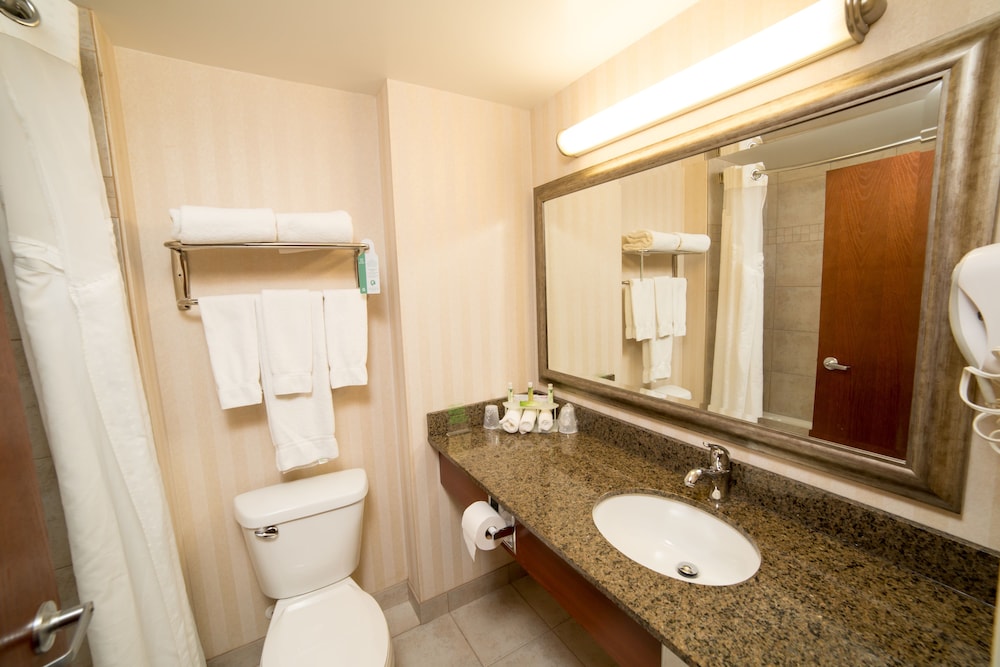 Suite, 1 King Bed - Photo 10