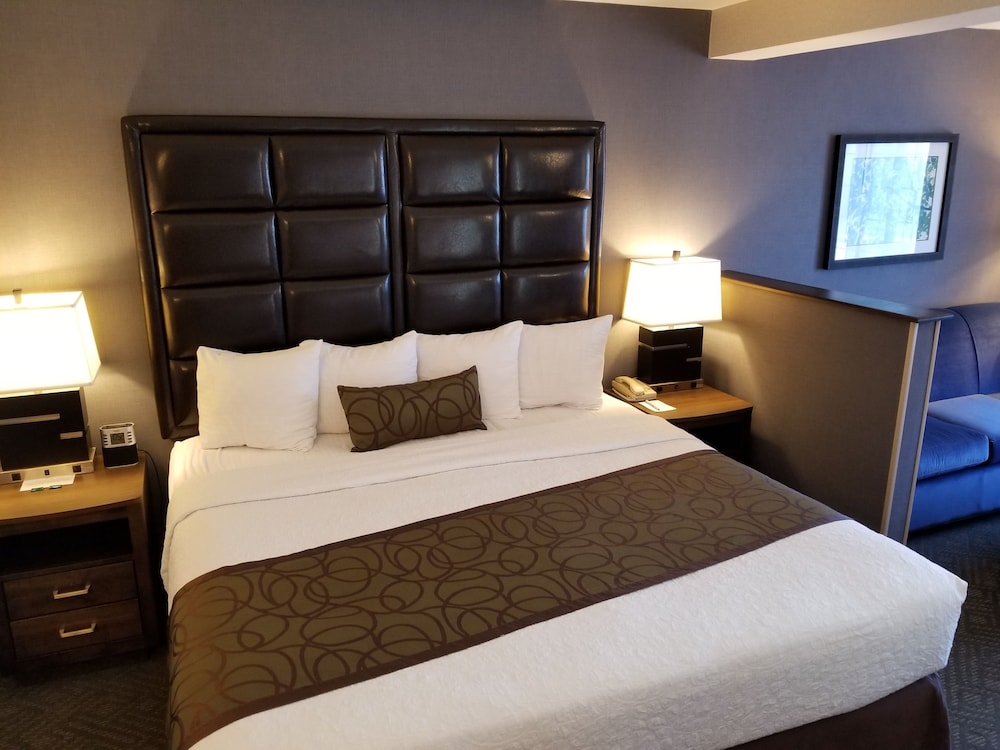 Standard Room, 1 Queen Bed, Accessible, Non Smoking (Refrigerator & Microwave) - Photo 1