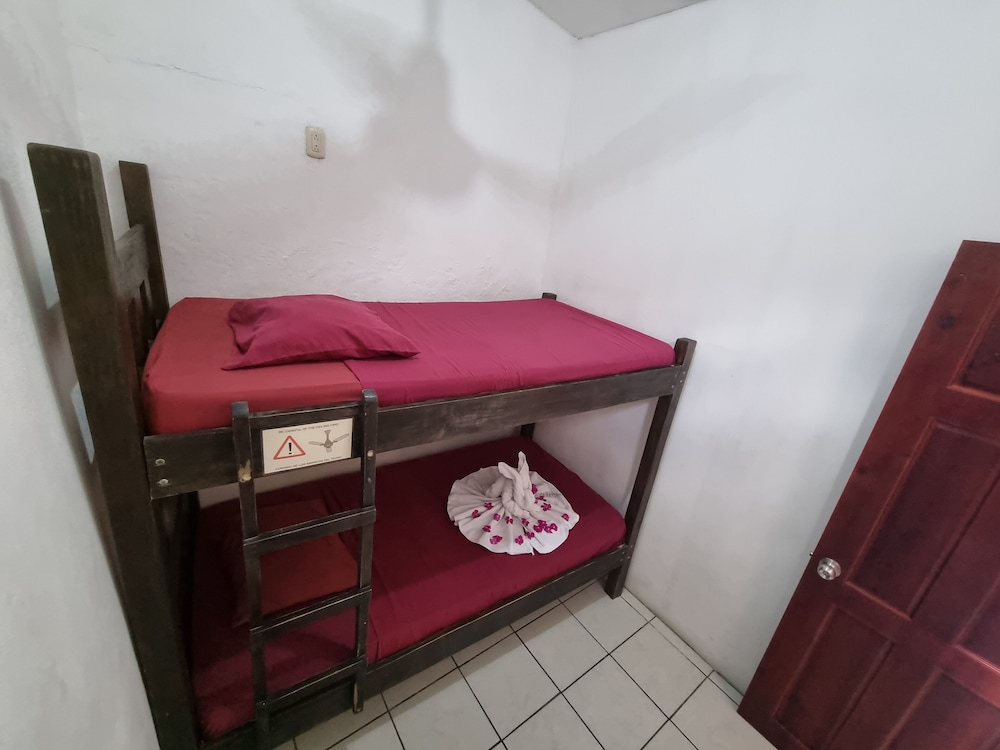 Basic Double Room photo 2