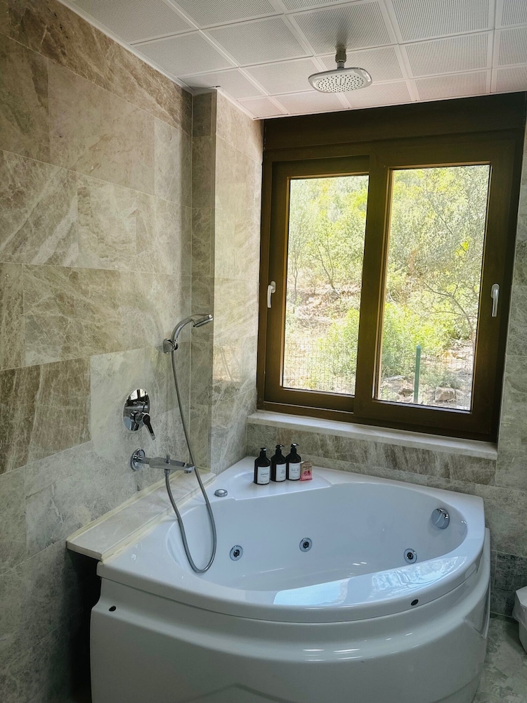 Superior Room, 1 Bedroom, Pool View photo 3