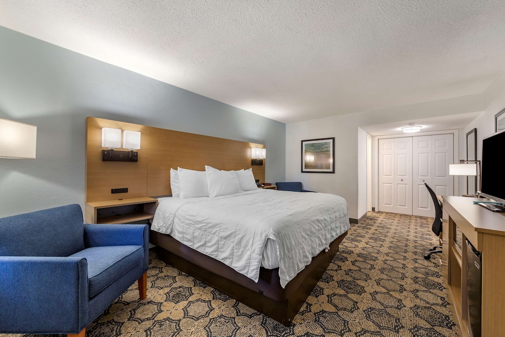 Standard Room, 1 King Bed, Non Smoking, Refrigerator & Microwave photo 2