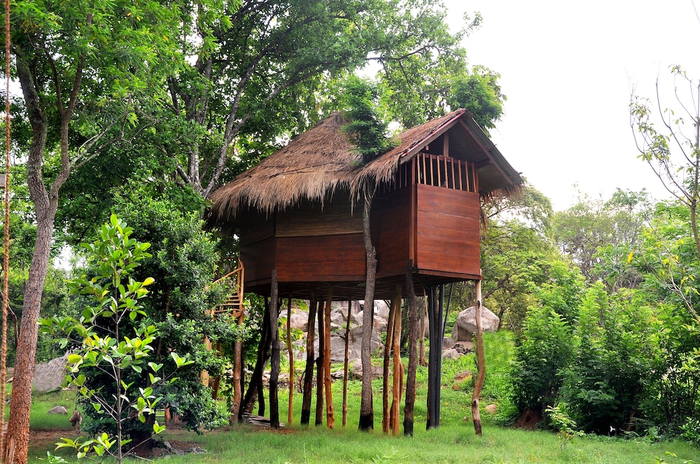 Tree House photo 2