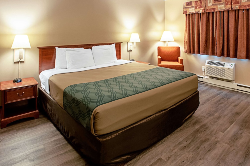 Standard Room, 1 King Bed, Non Smoking (Pet Friendly) photo 1