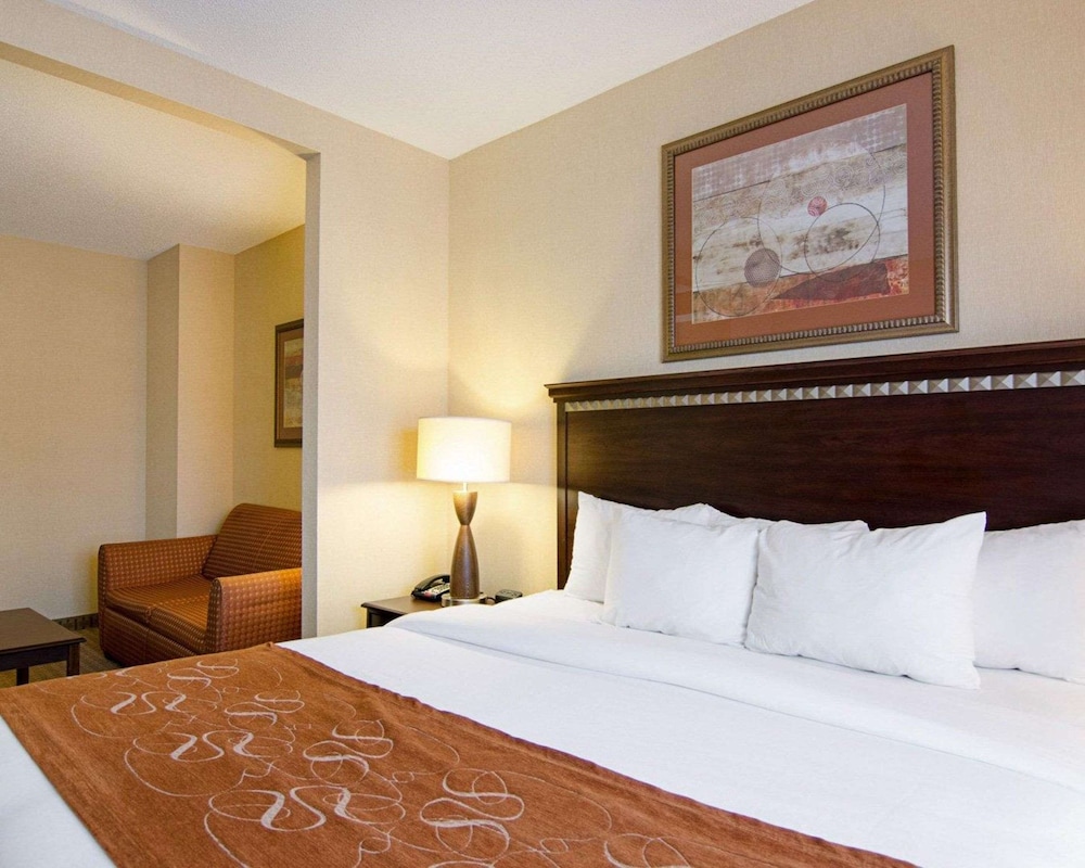 1 King Suite - Photo 5