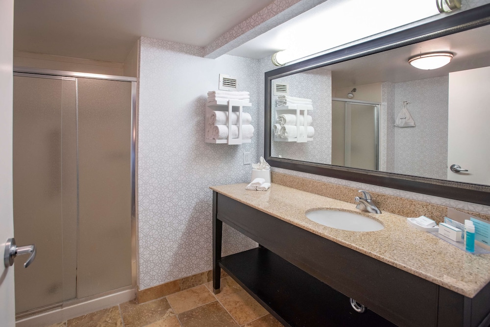 One King One Bedroom Suite Nonsmoking - Photo 4