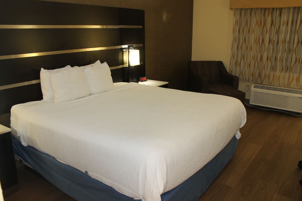 Standard Room, 1 King Bed, Smoking - Photo 2