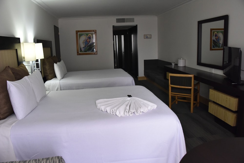 Executive Double Room photo 1
