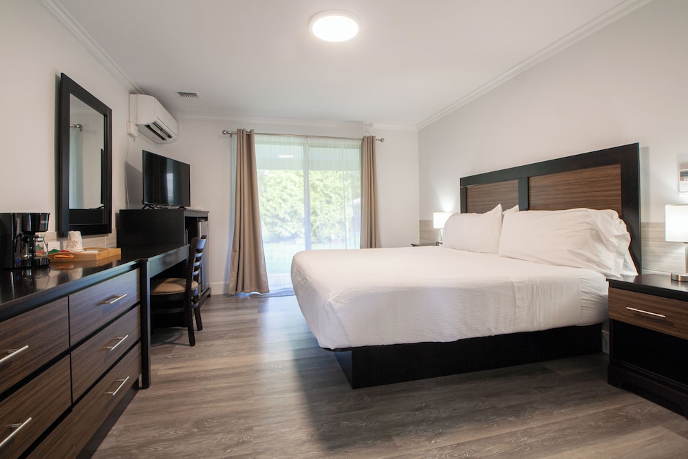 Standard Room (1 King bed- NO PETS)