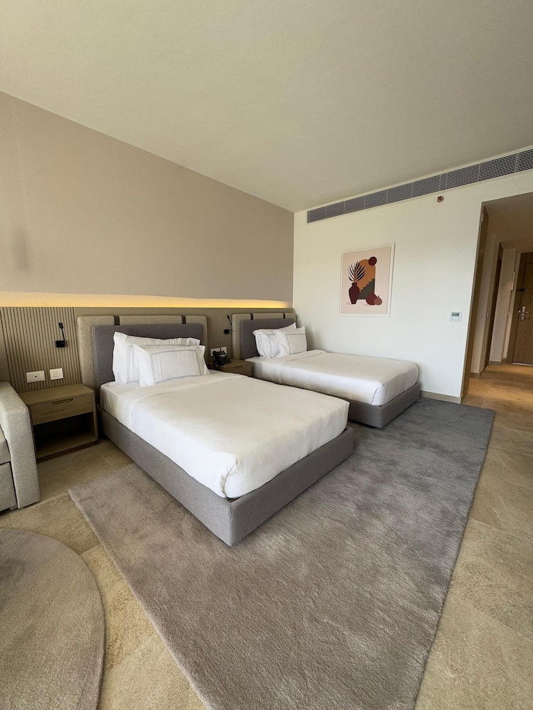 Deluxe Room Pool View Twin Beds photo 2