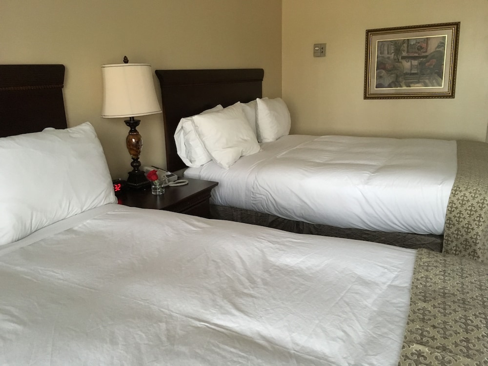 Deluxe Room, 2 Queen Beds photo 1