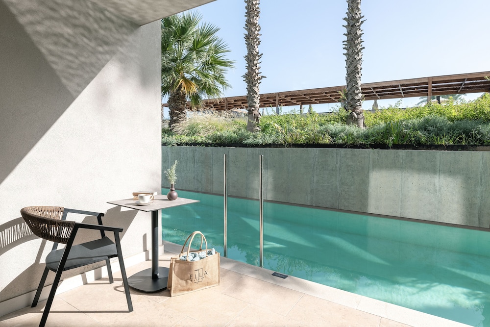 Deluxe Room with Swim Up Pool