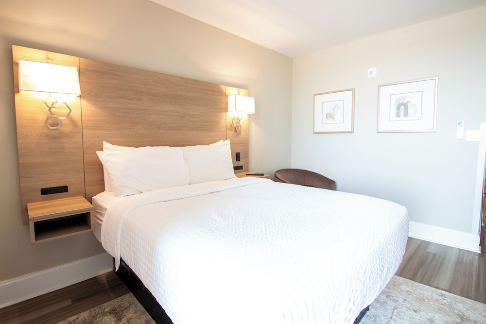 Studio, 2 Queen Beds, Balcony photo 1