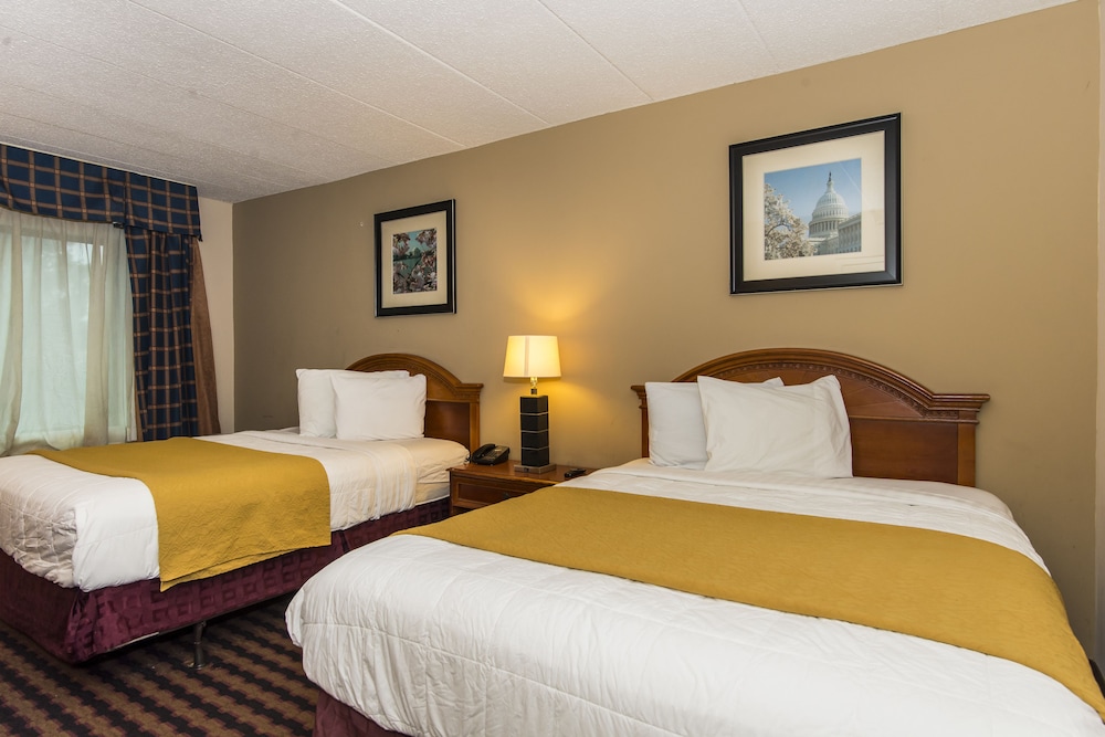 Standard Room, 2 Queen Beds photo 1