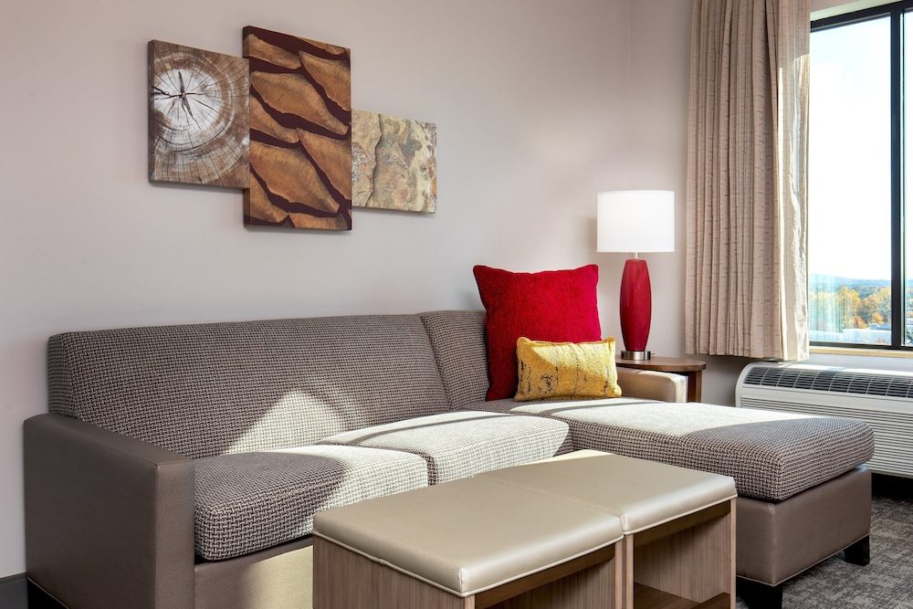 Suite, 1 King Bed, Accessible, Kitchen (Communications) - Photo 4