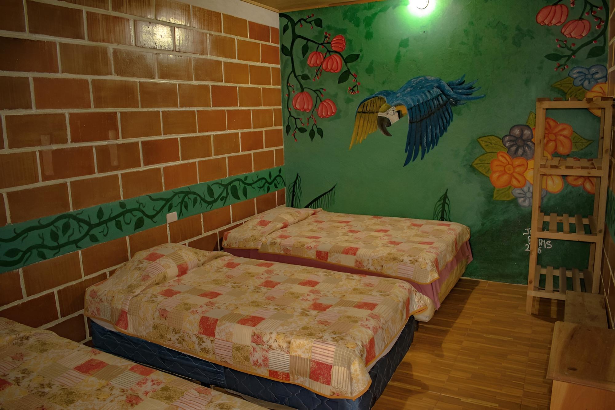 Shared Dormitory photo 1