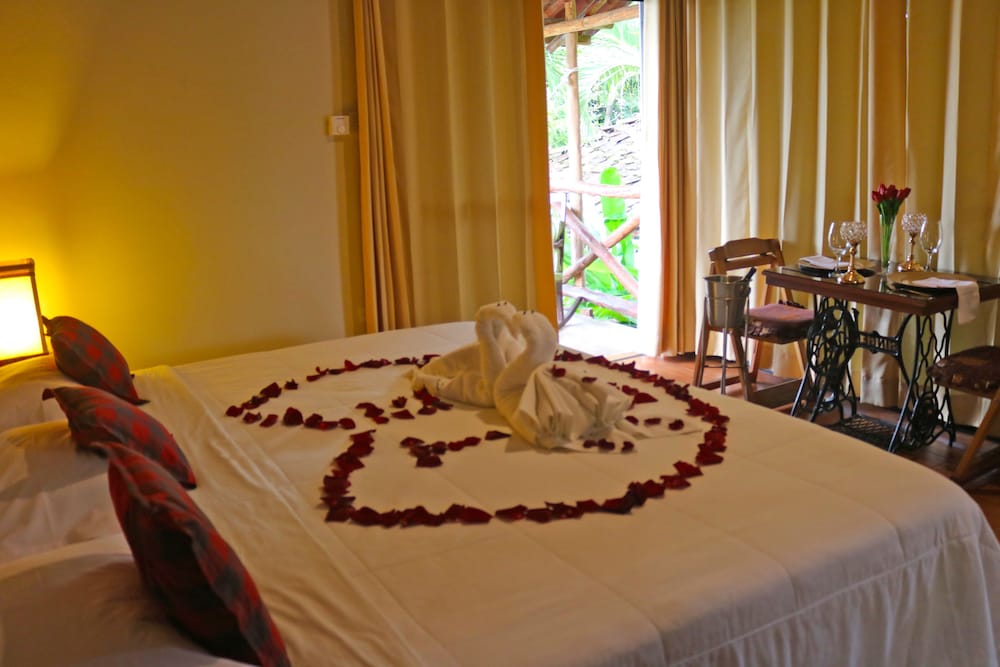 Double Room (fan) photo 3