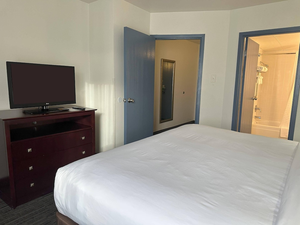 Suite, 1 King Bed with Sofa bed, Non Smoking - Photo 5