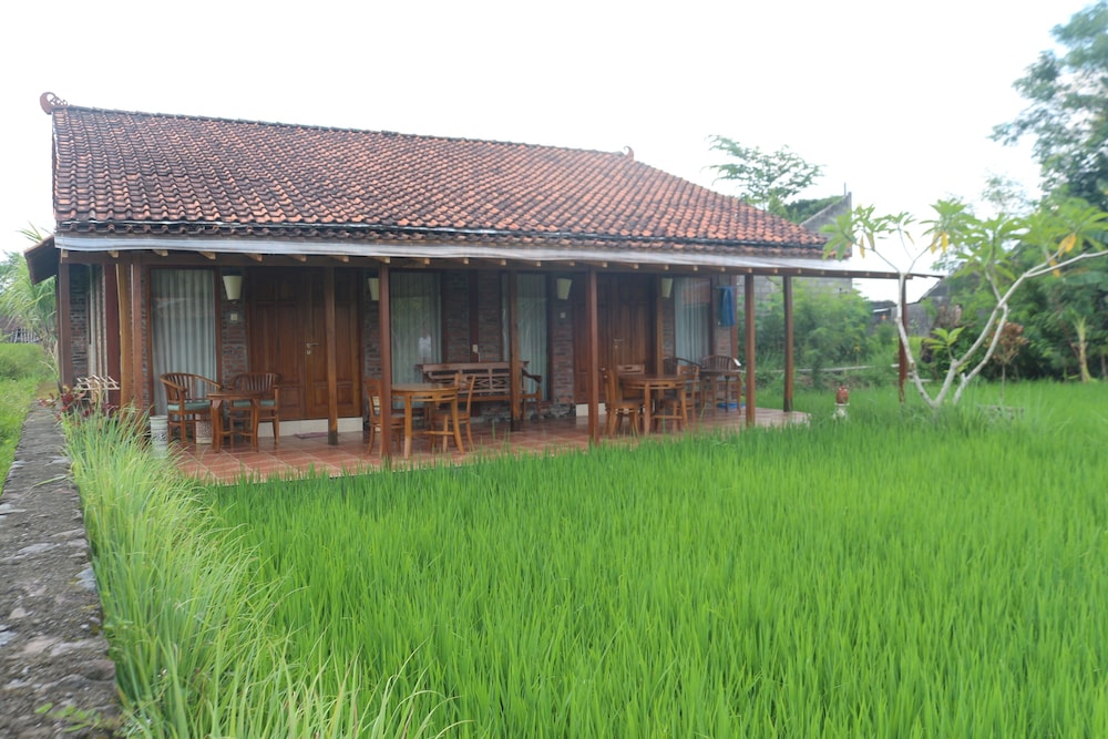 Family Bungalow, 2 Bedrooms, Garden View, Ground Floor photo 1