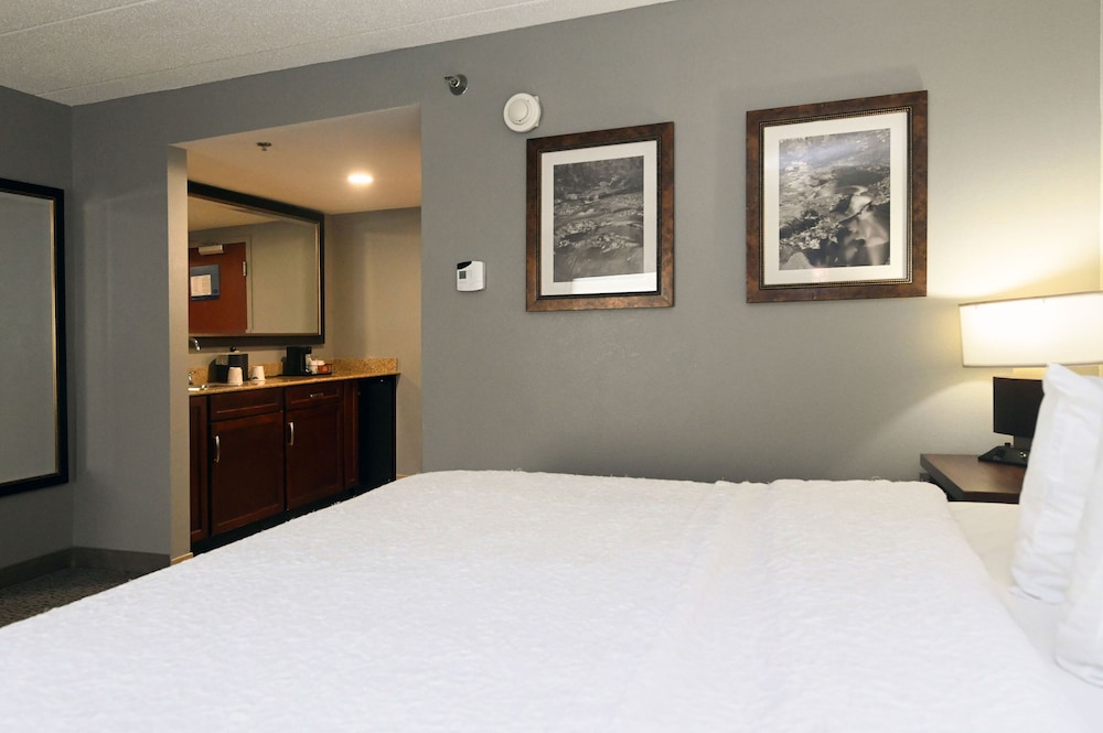 Suite, 1 King Bed with Sofa bed - Photo 3