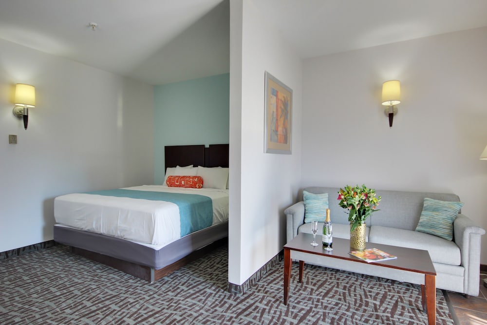 Deluxe Suite photo 1