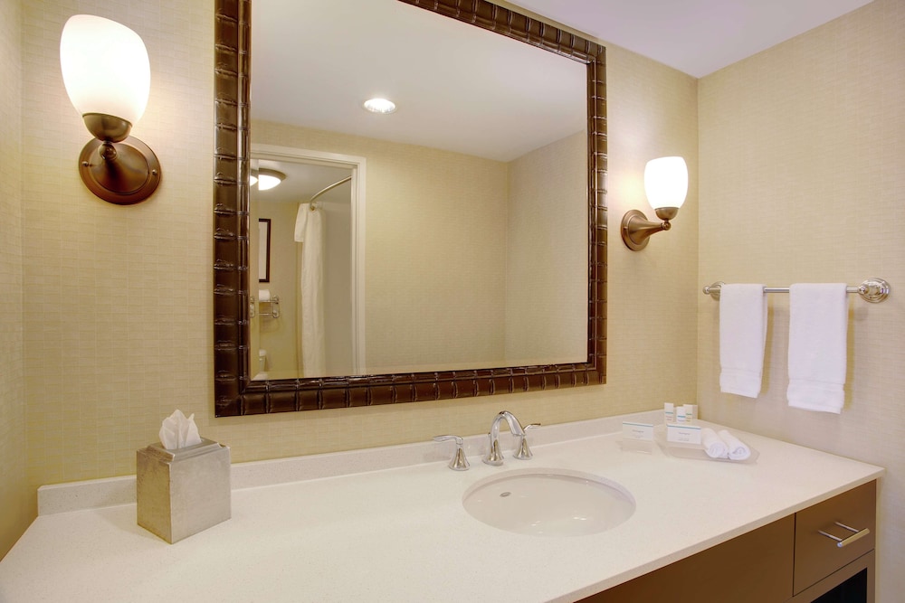 Suite, 1 King Bed - Photo 6