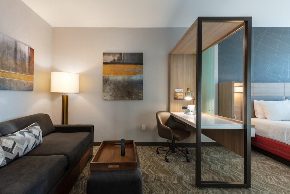 Suite, 1 King Bed (Mobility Accessible, Roll-In Shower) - Photo 3