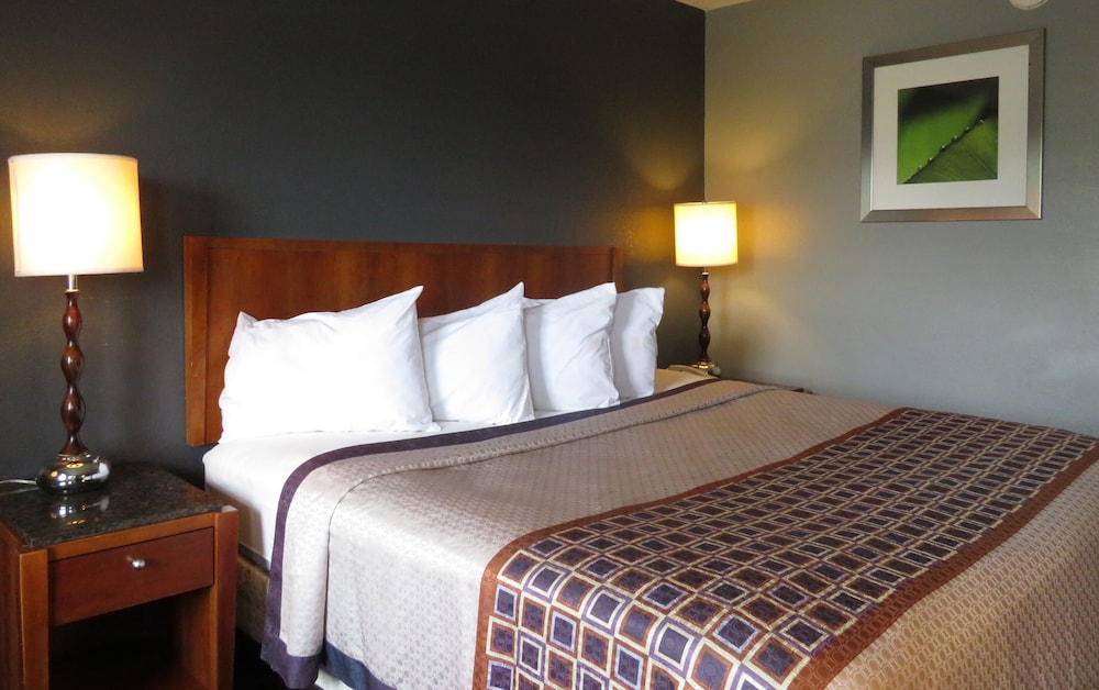 Room, 1 King Bed, Non Smoking photo 3