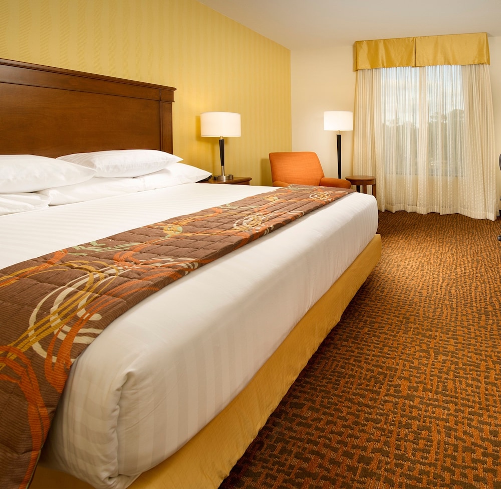 Suite, 1 King Bed with Sofa bed, Refrigerator & Microwave (Upper Floor, 2 Rooms, Sofabed) photo 2