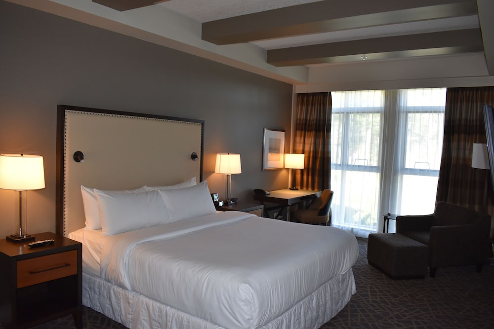 Classic Suite, 1 King Bed with Sofa bed