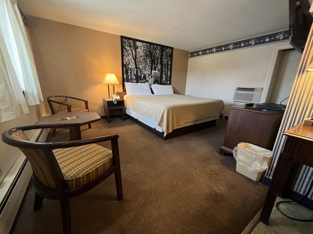Standard Single Room, 1 King Bed photo 1