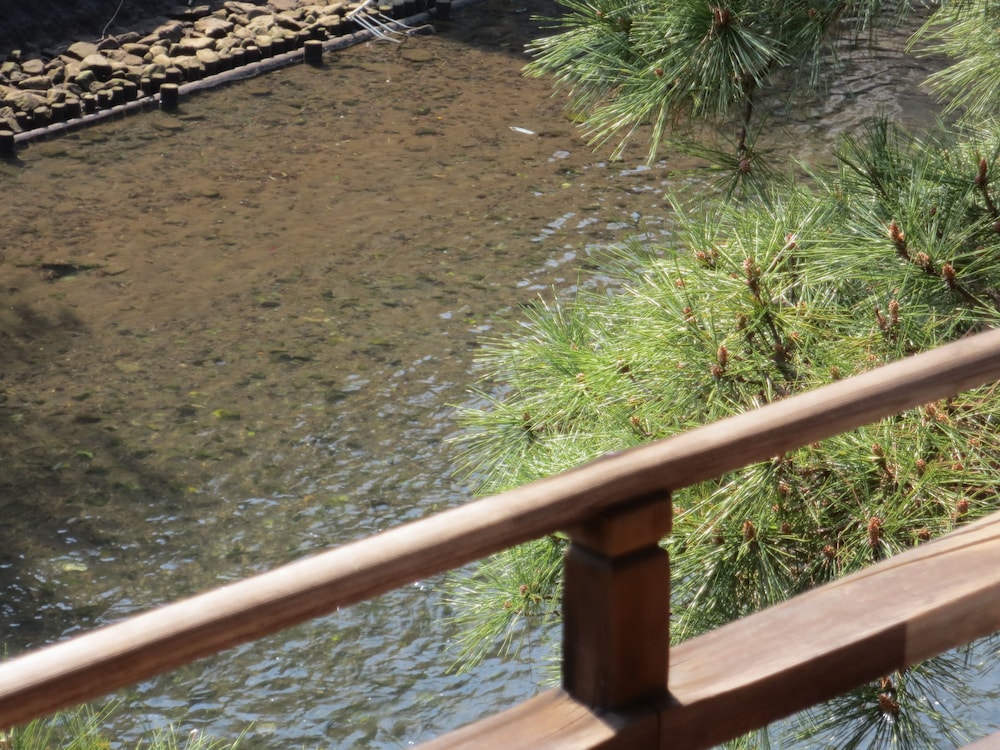 River View Japanese Style Mixed Dormitory photo 3