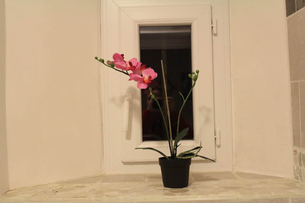 Comfort Apartment, 1 Bedroom, Kitchen, Sea View photo 3