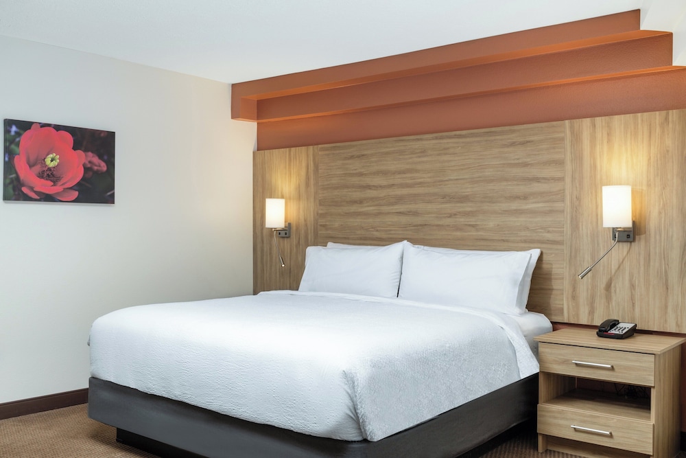 Suite, 1 King Bed, Roll-in Shower (Comms, Mobility, Courtyard Access)