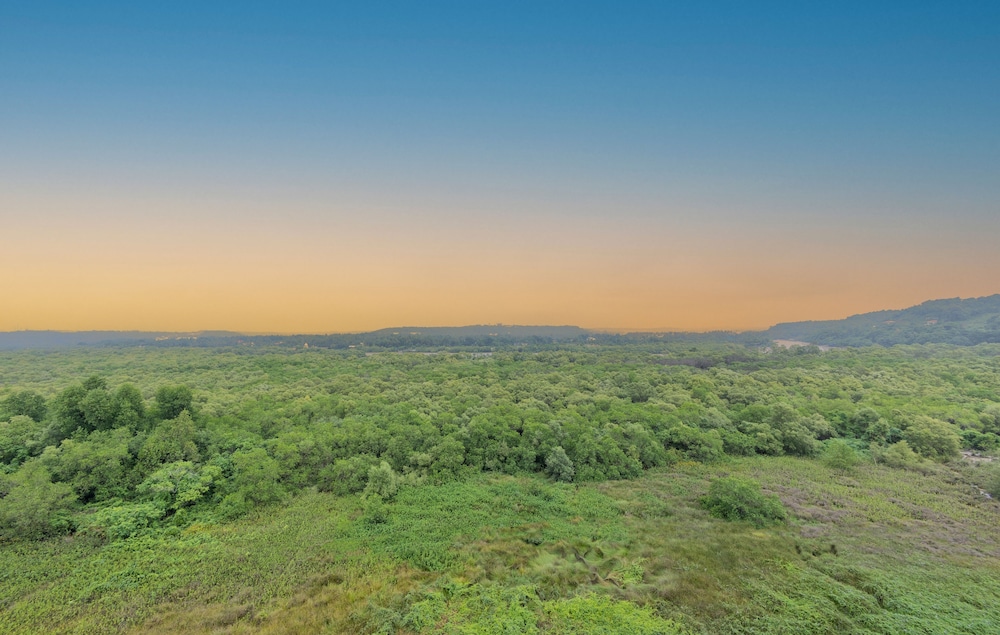 Suite, 2 Bedrooms, Balcony (Sunrise View) - Photo 11