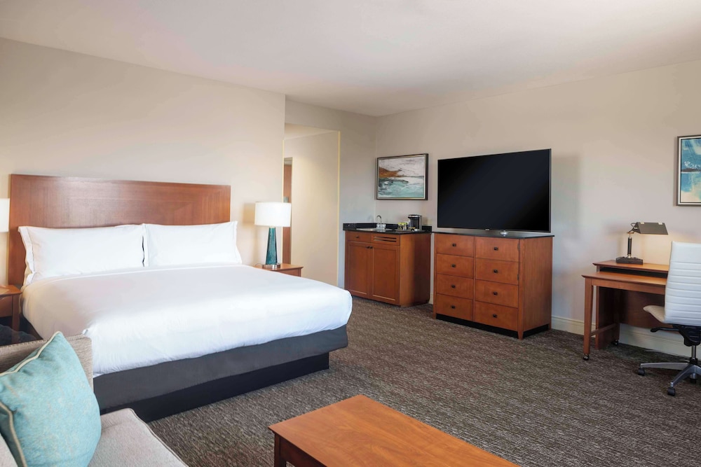 Suite, 1 King Bed - Photo 3