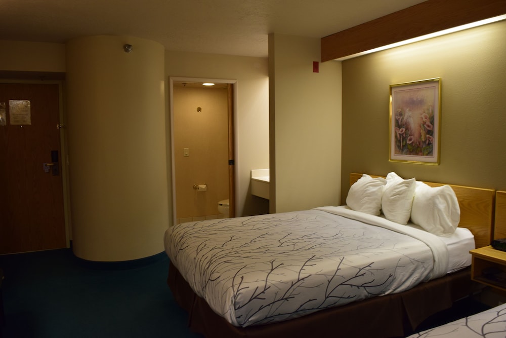 Standard Room, 2 Double Beds photo 3