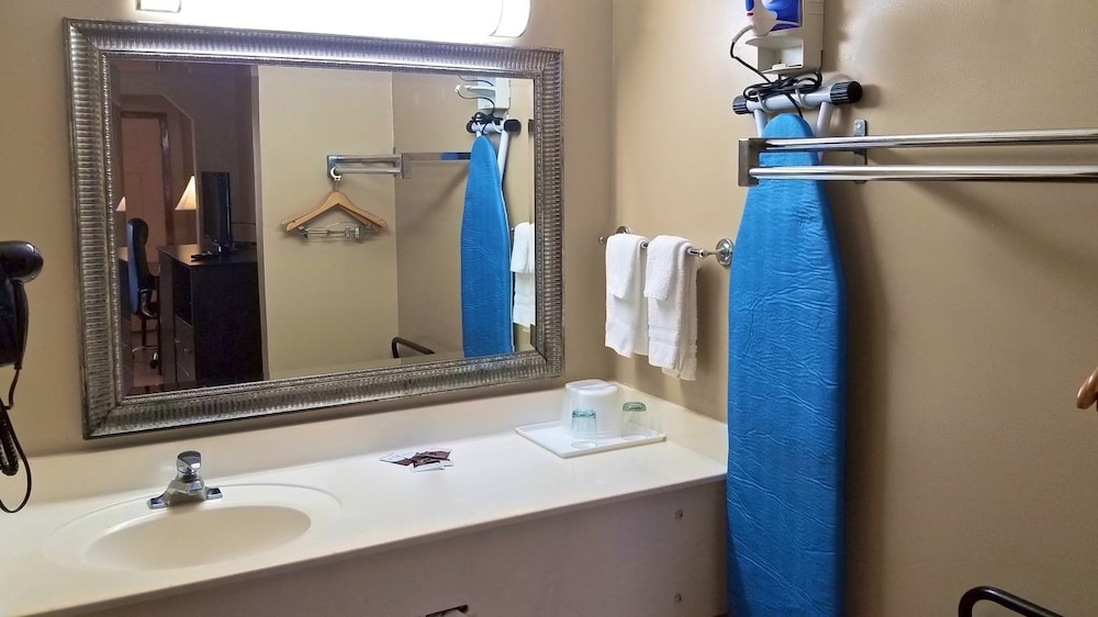 Deluxe Room, 1 King Bed, Refrigerator & Microwave, Poolside photo 3