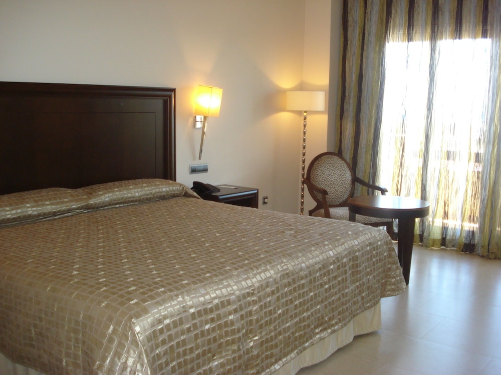 Double Room, 1 King Bed photo 3