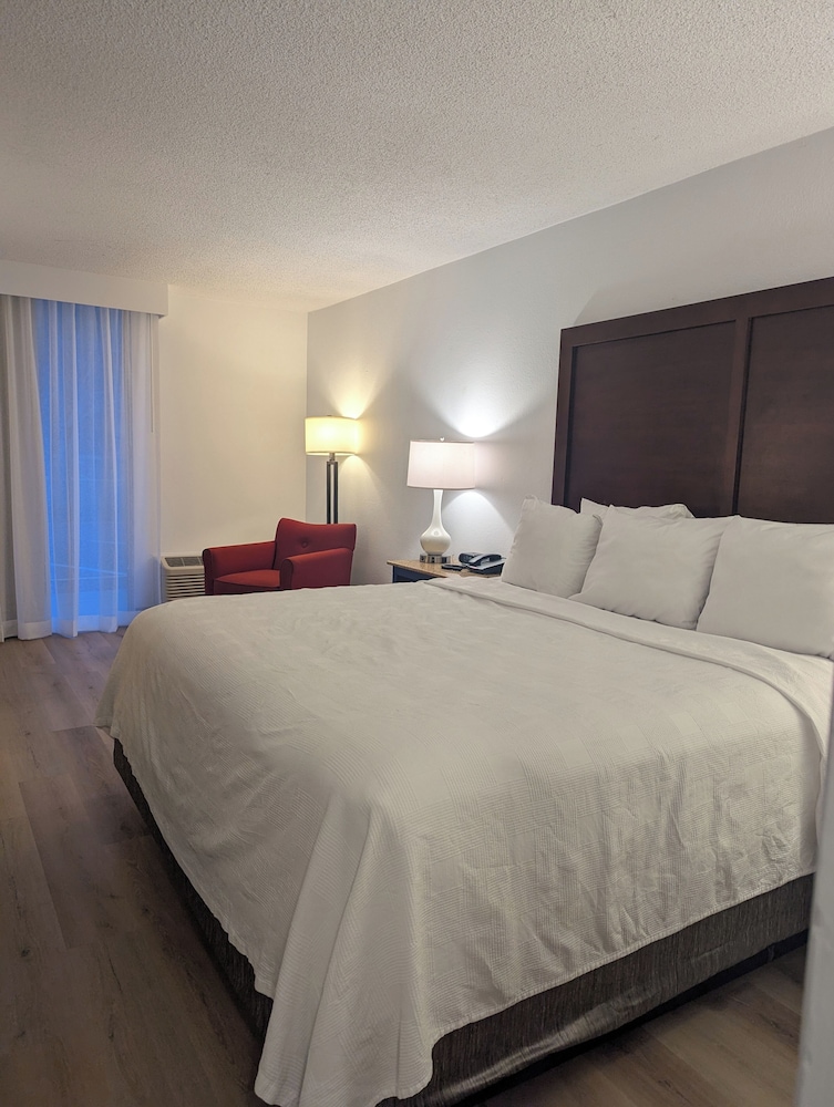 Standard Room, 1 King Bed - Photo 4