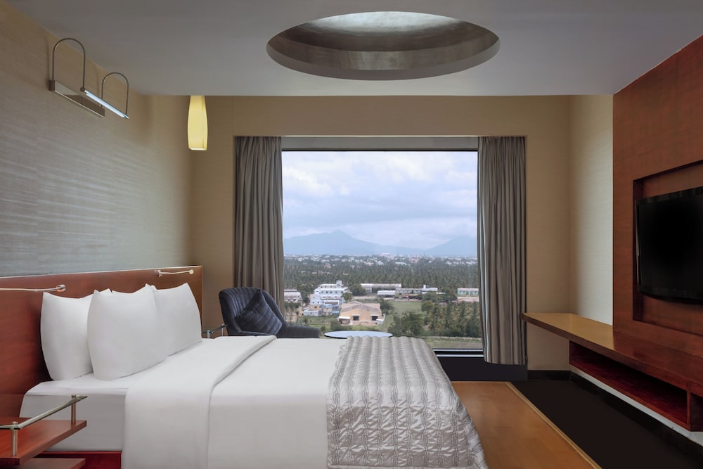 Executive Suite, 1 Bedroom photo 2